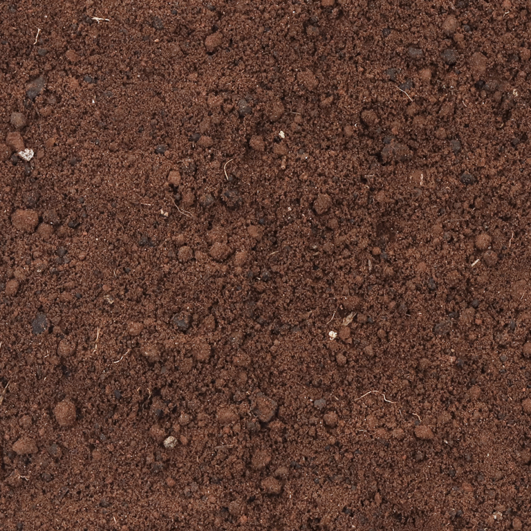 Terra Preta de Barranco